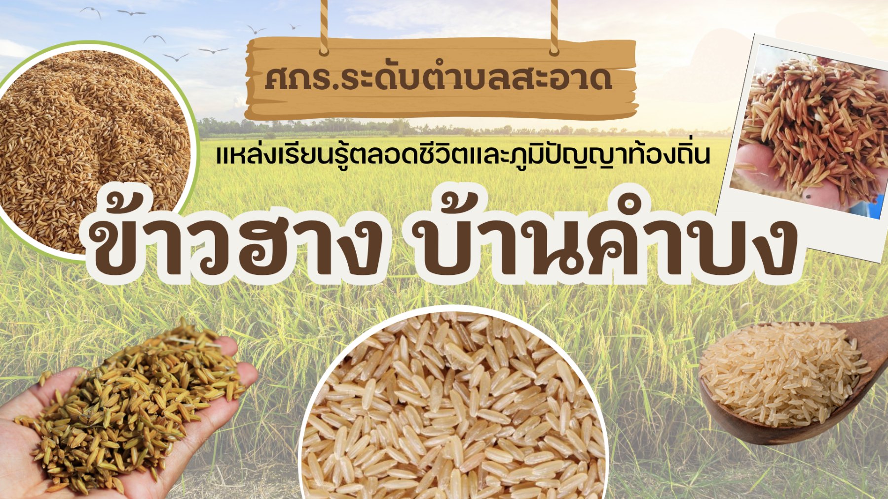 ข้าวฮางบ้านคำบง