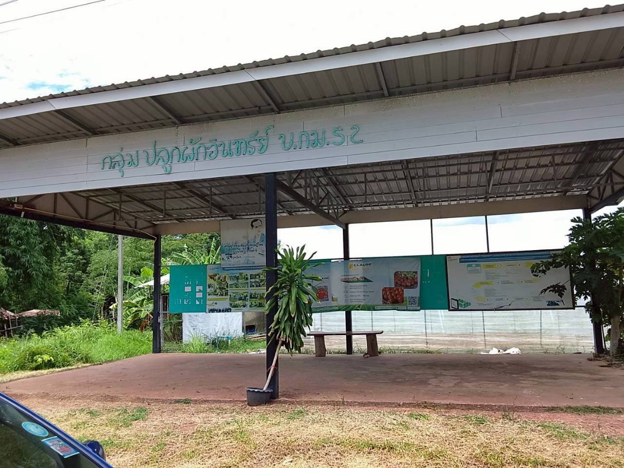 กลุ่มปลูกผักอินทรีย์ บ้าน กม.52