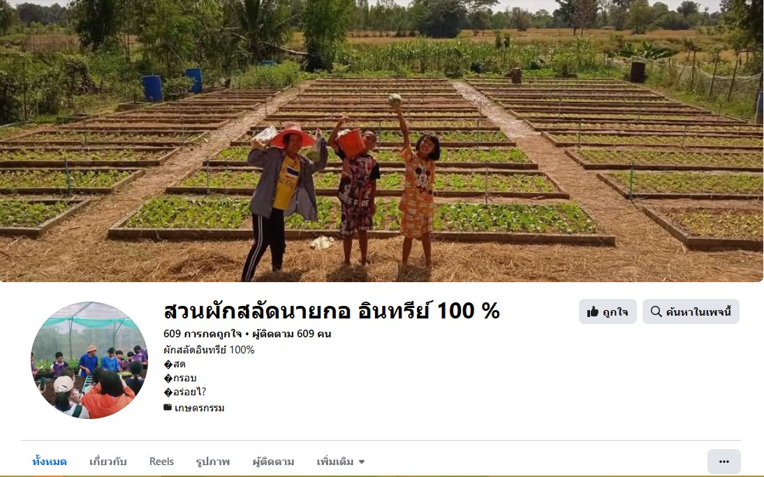 สวนผักสลัดนายกอ