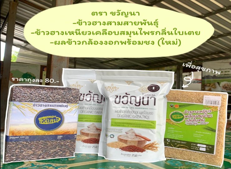 ศูนย์ส่งเสริมและผลิตภัณฑ์ข้าวบ้านถลุงเหล็ก