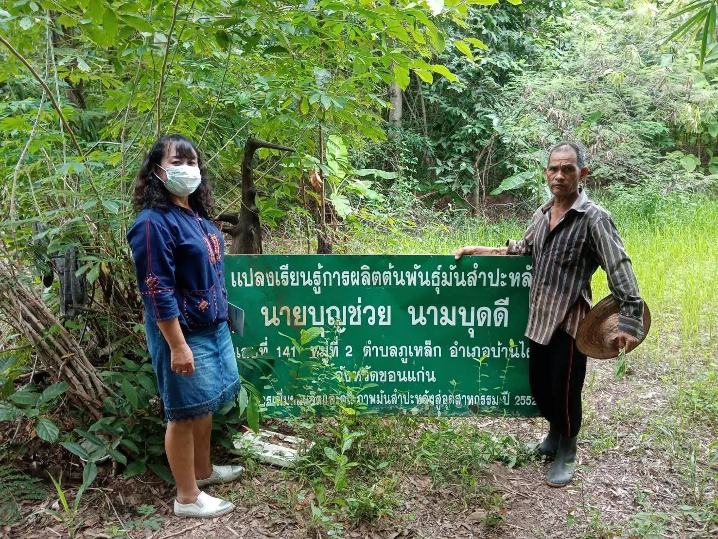เกษตรทฤษฎีใหม่และหมอดิน