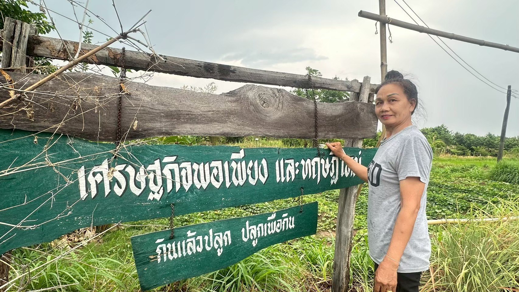 สวนเศรษฐกิจพอเพียงและทฤษฎีใหม่
