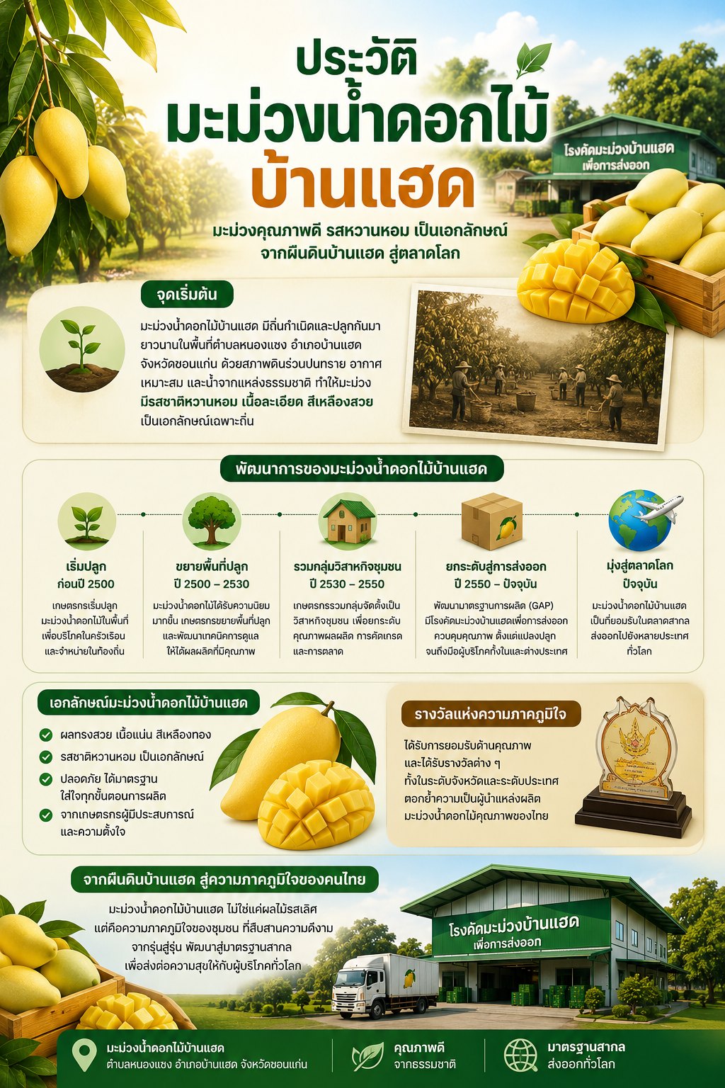 ประวัติความเป็นมา