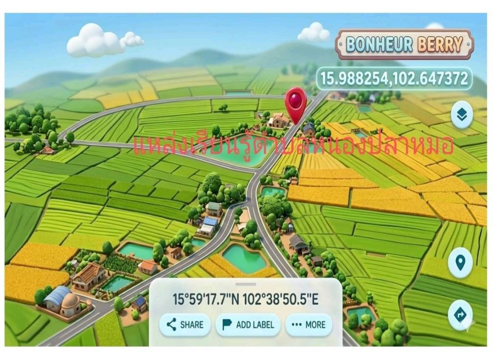 Infographic แผนที่